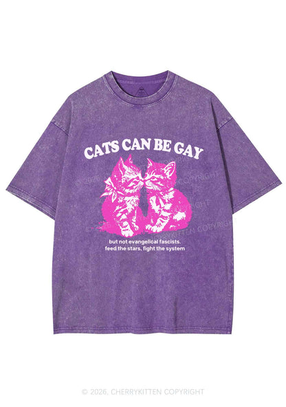 Cat Can Be Gay Pride Y2K Shirts Washed Tee Cherrykitten
