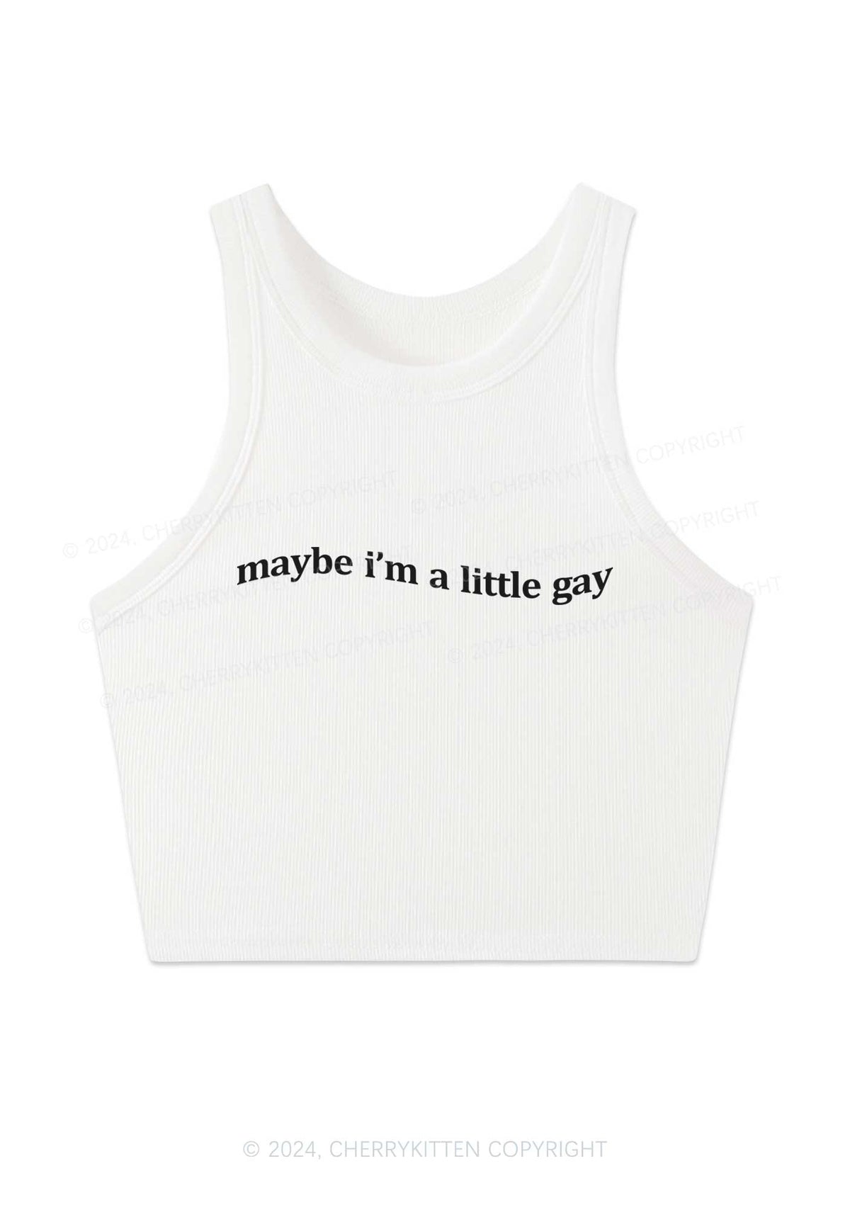 Maybe I'm A Little Gay Y2K Crop Tank Top Cherrykitten