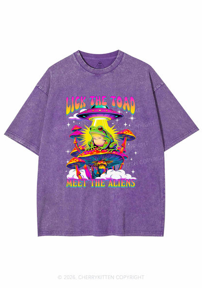 Lick The Toad Y2K Shirts Washed Tee Cherrykitten
