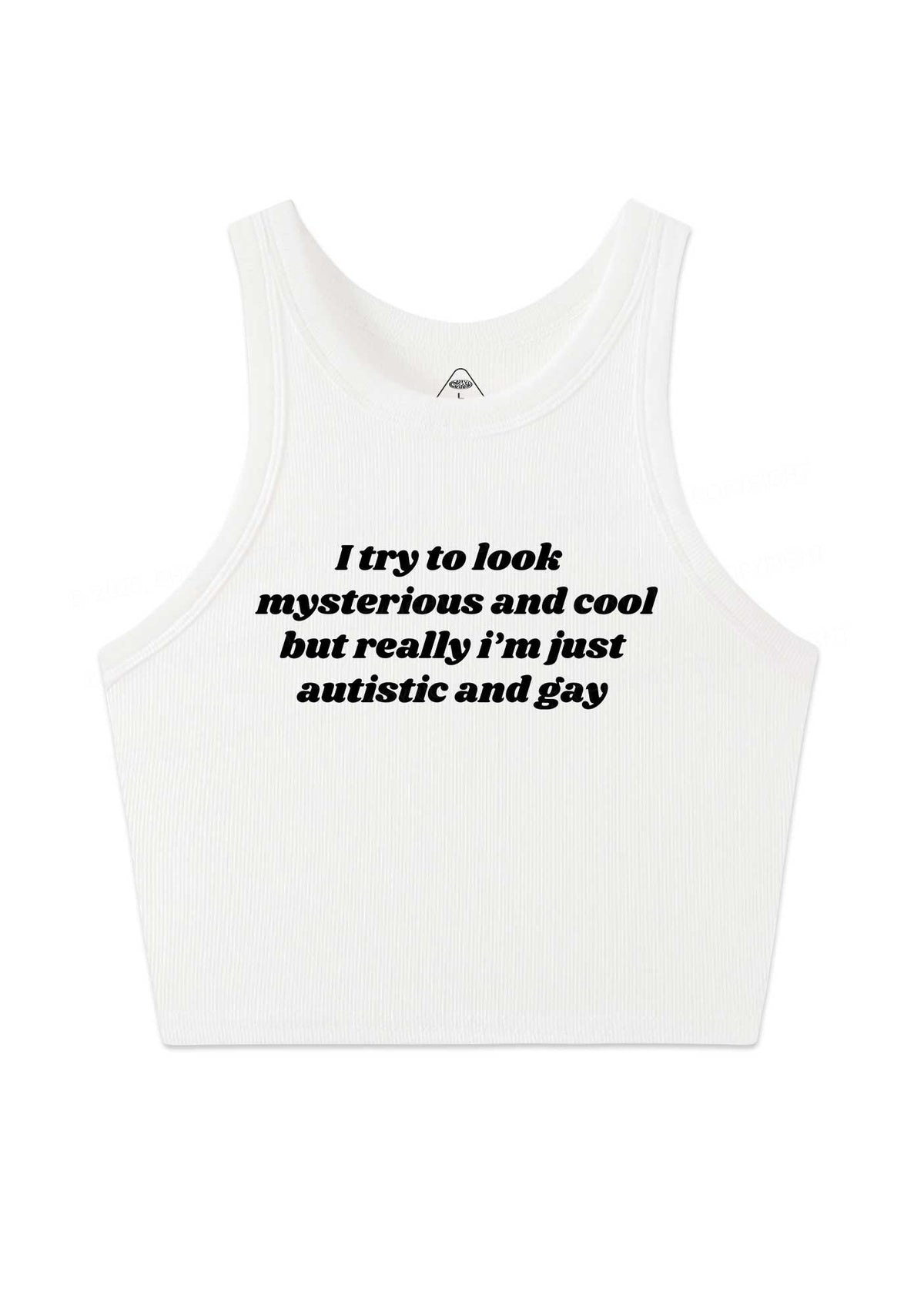Im Just Autistic And Gay Pride Y2K Crop Tank Top Cherrykitten