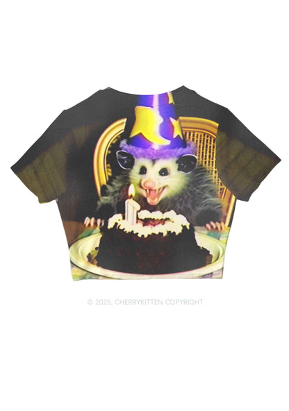 Birthday Rat Y2K Mesh Crop Top Cherrykitten
