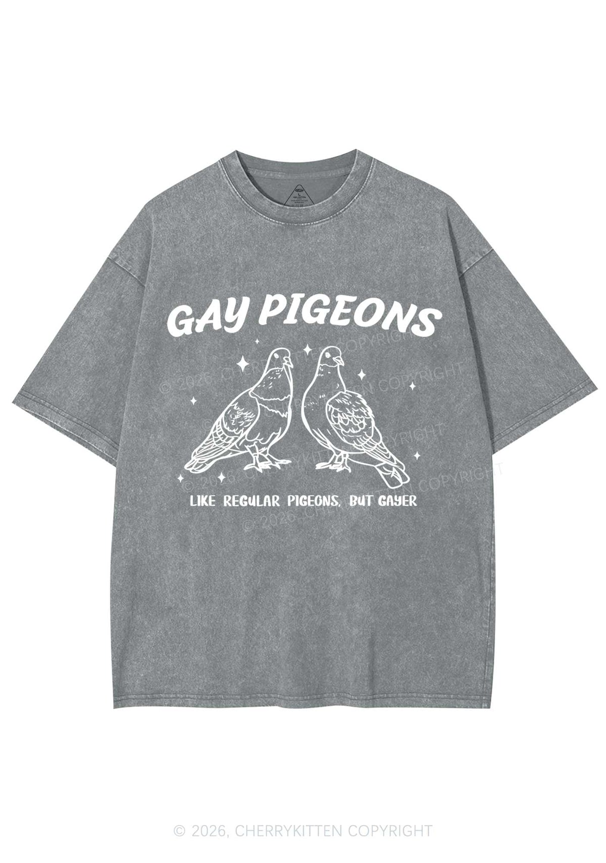 Gay Pigeons Pride Y2K Shirts Washed Tee Cherrykitten