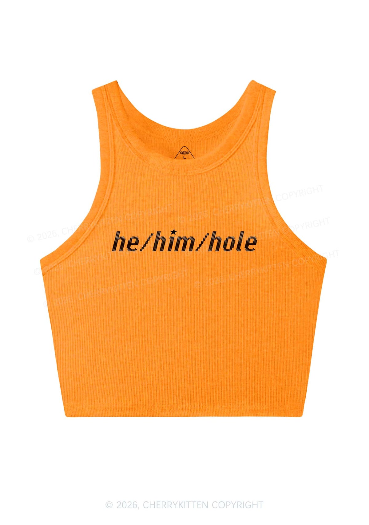 He Him Hole Pride Y2K Crop Tank Top Cherrykitten