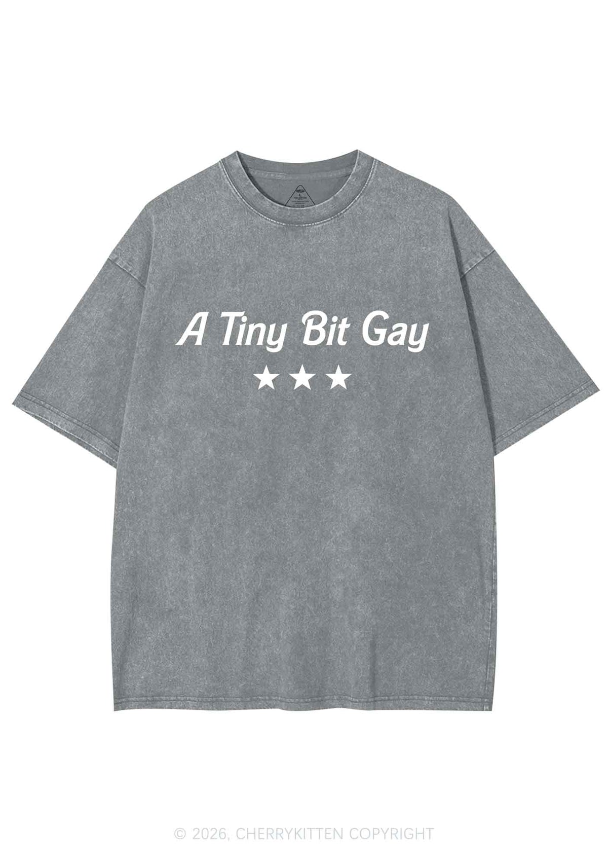 A Tiny Bit Gay Pride Y2K Shirts Washed Tee Cherrykitten