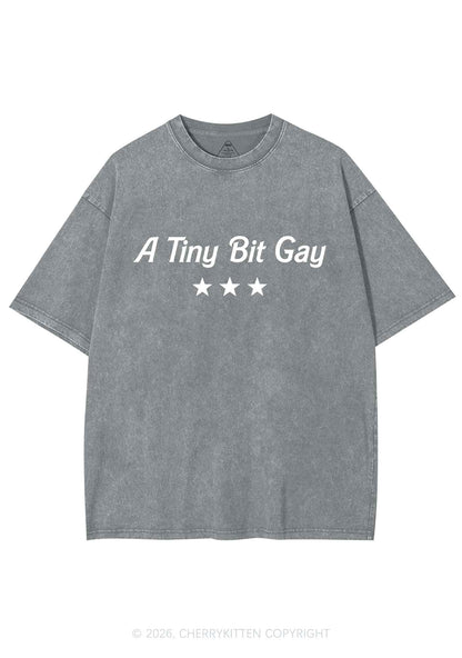 A Tiny Bit Gay Pride Y2K Shirts Washed Tee Cherrykitten