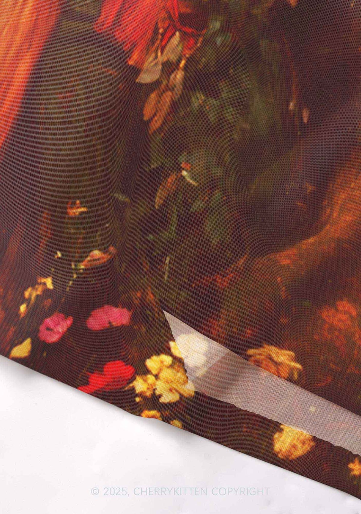 The Lesbians Pride Y2K Mesh Crop Top Cherrykitten