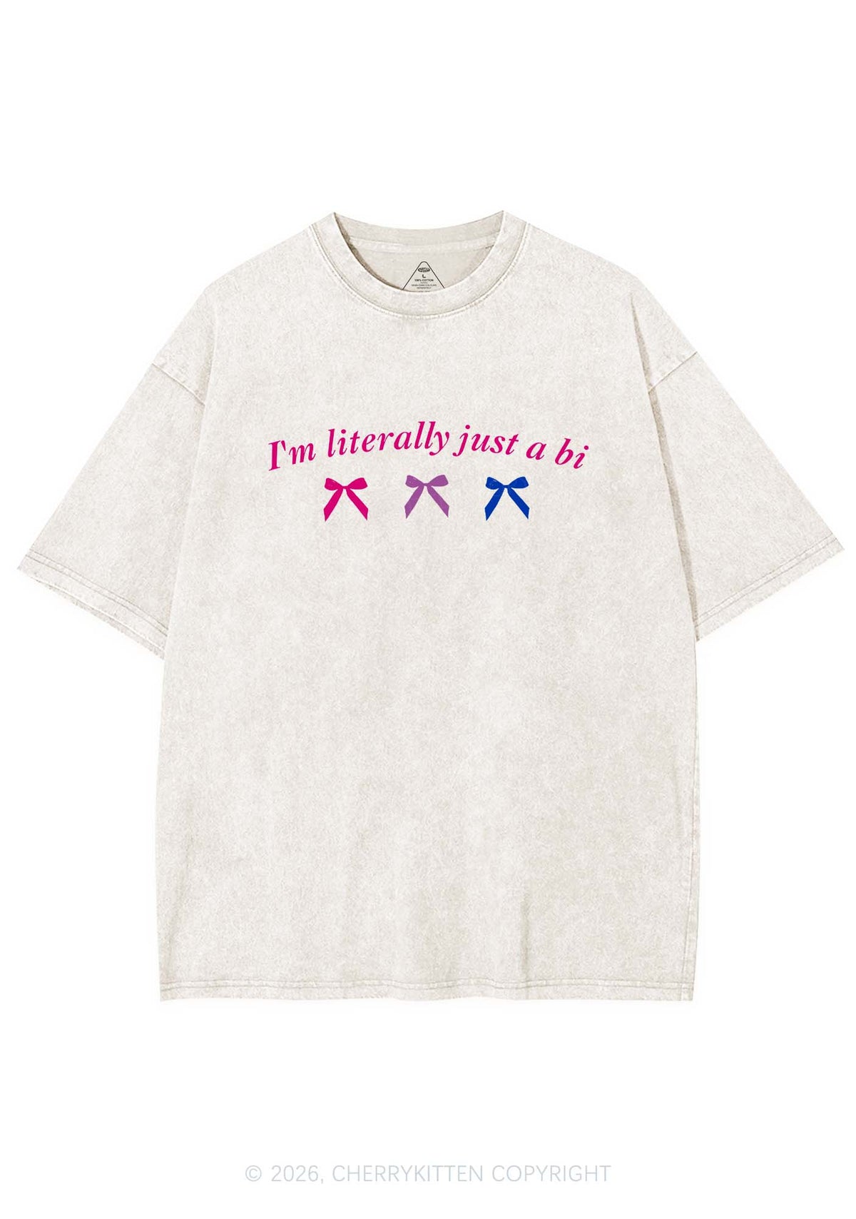 Im Literally Just A Bi Pride Y2K Shirts Washed Tee Cherrykitten