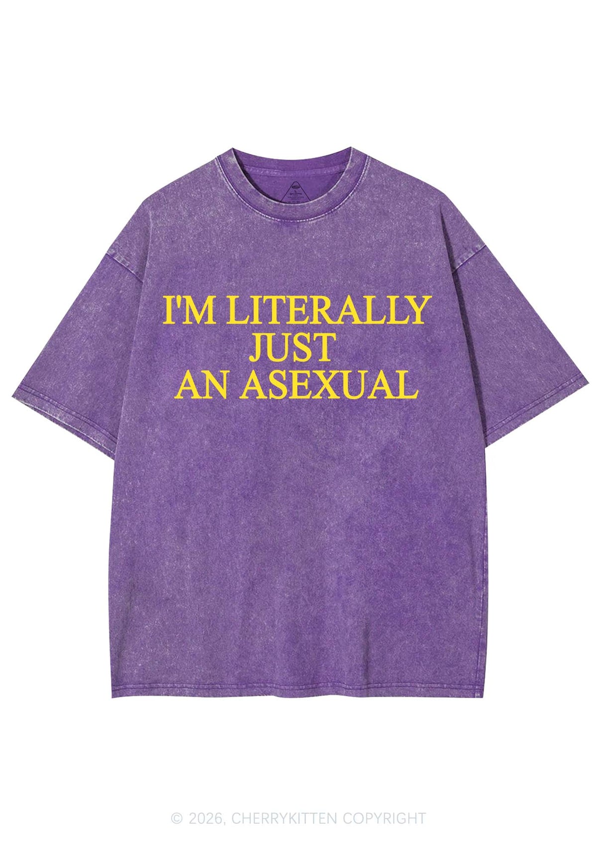 Im Literally Just An Asexual Pride Y2K Shirts Washed Tee Cherrykitten