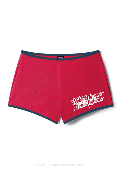 Nobody Knows Im A Lesbian Pride Y2K Booty Shorts Cherrykitten