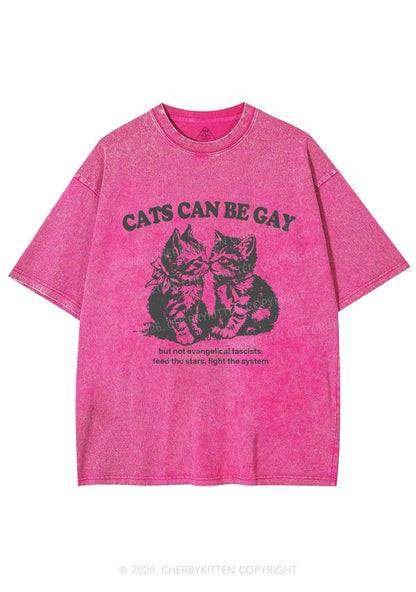 Cat Can Be Gay Pride Y2K Shirts Washed Tee Cherrykitten