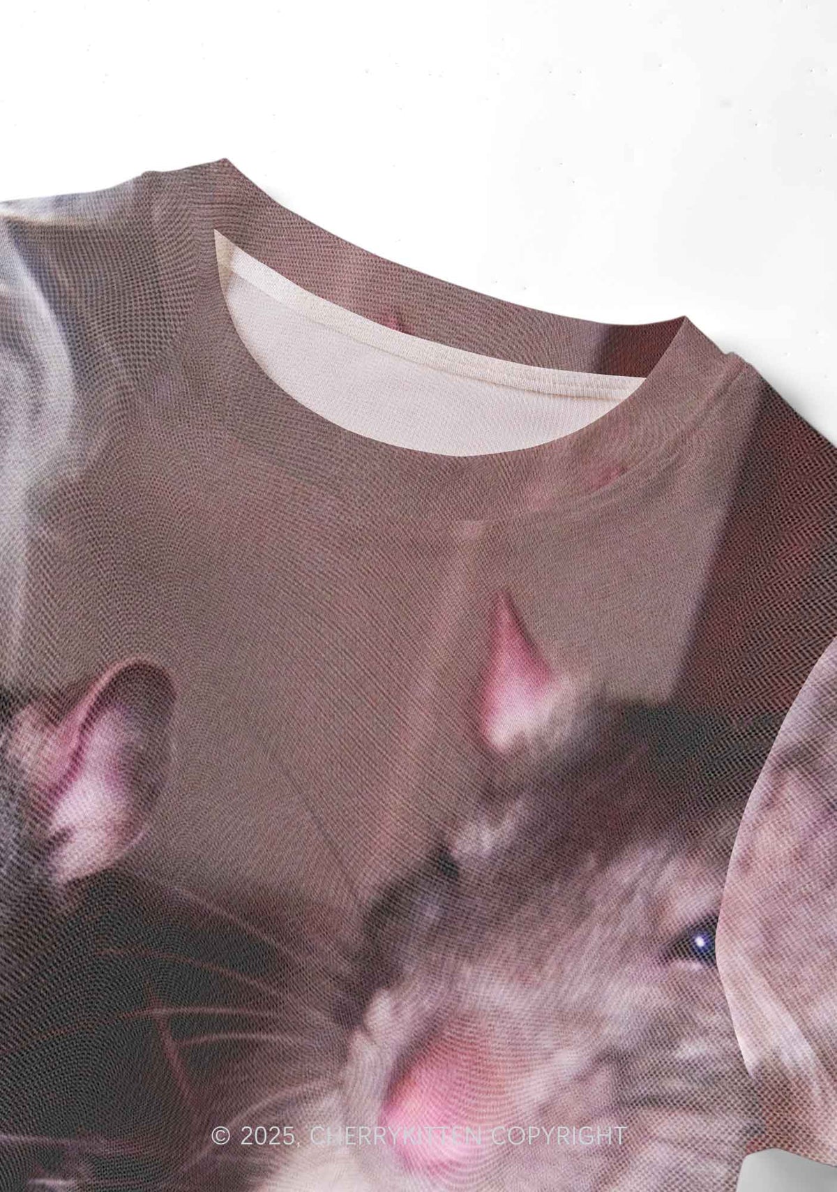 Smoking Rats Y2K Mesh Crop Top Cherrykitten