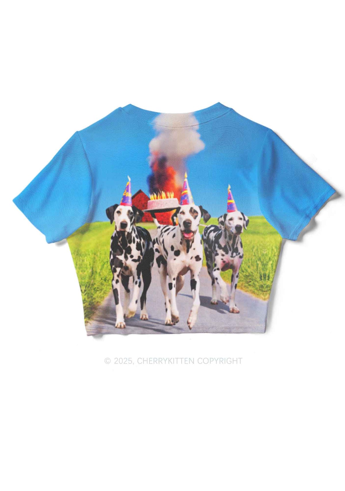 Dogs Birthday Party Y2K Mesh Crop Top Cherrykitten