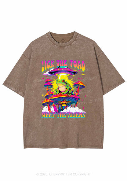Lick The Toad Y2K Shirts Washed Tee Cherrykitten