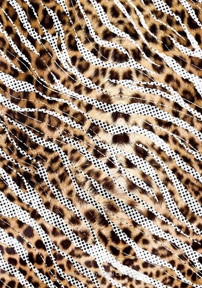 Wild Dots Y2K Mesh Crop Top Cherrykitten