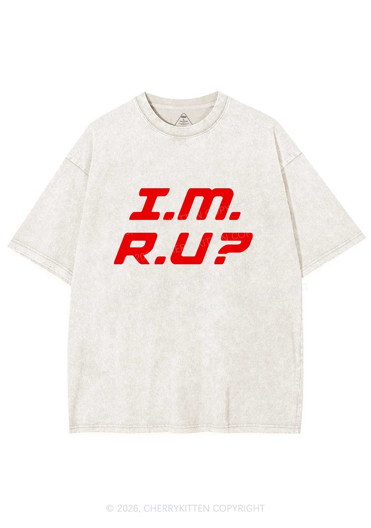 Im Ru Pride Y2K Shirts Washed Tee Cherrykitten