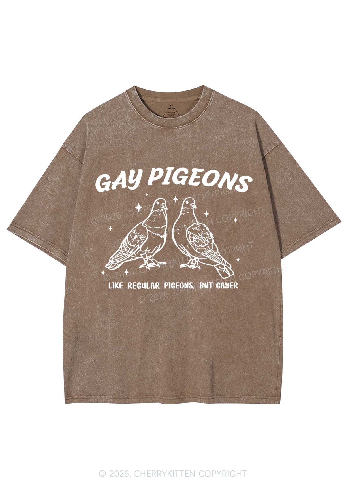Gay Pigeons Pride Y2K Shirts Washed Tee Cherrykitten