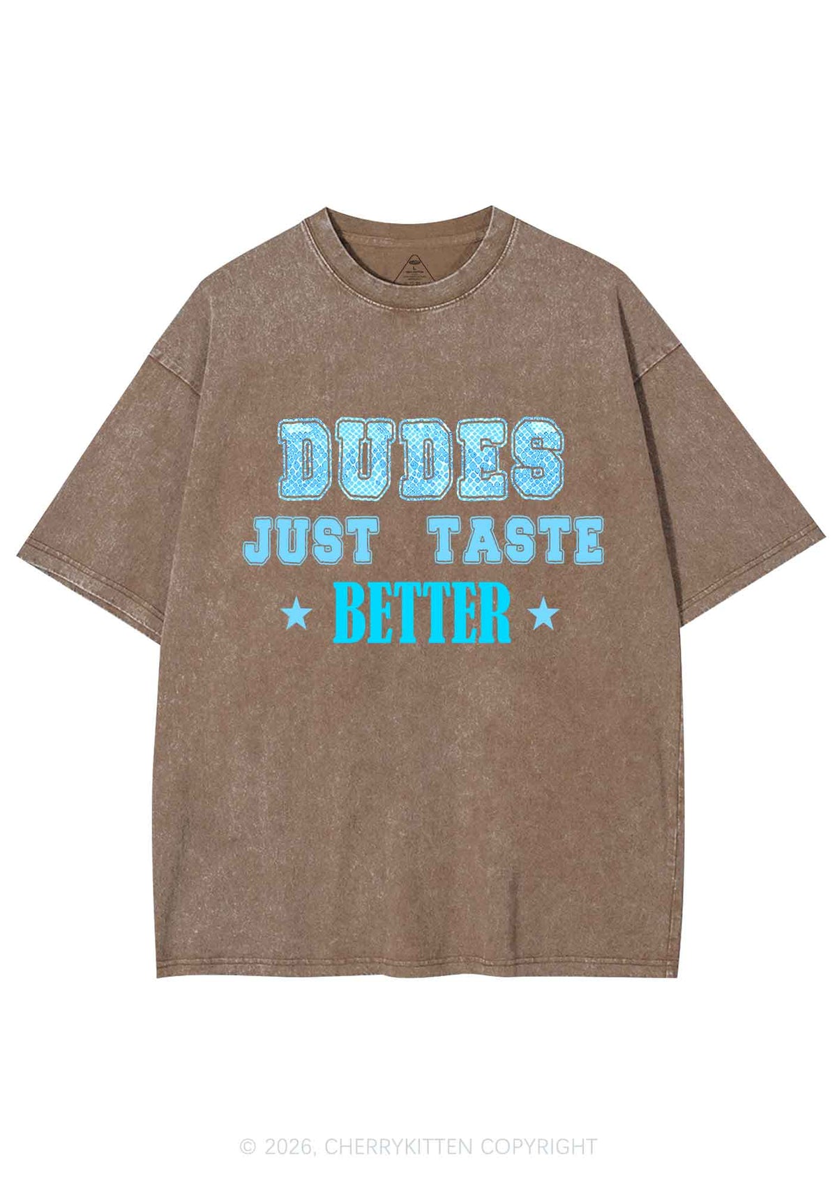 Dudes Just Taste Better Pride Y2K Shirts Washed Tee Cherrykitten