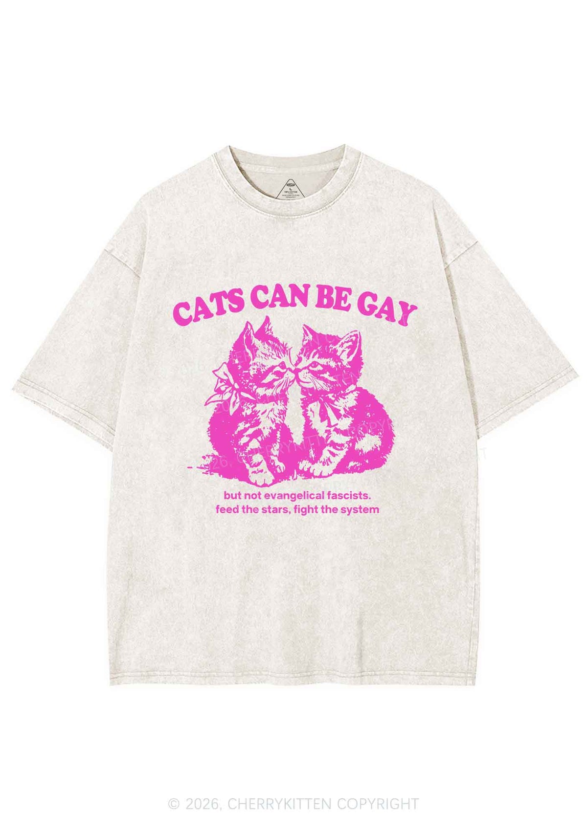 Cat Can Be Gay Pride Y2K Shirts Washed Tee Cherrykitten