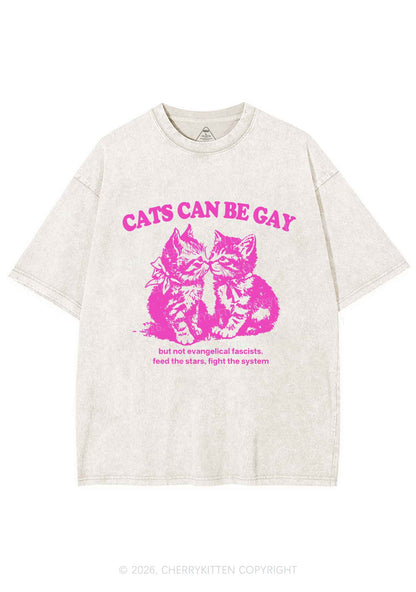Cat Can Be Gay Pride Y2K Shirts Washed Tee Cherrykitten