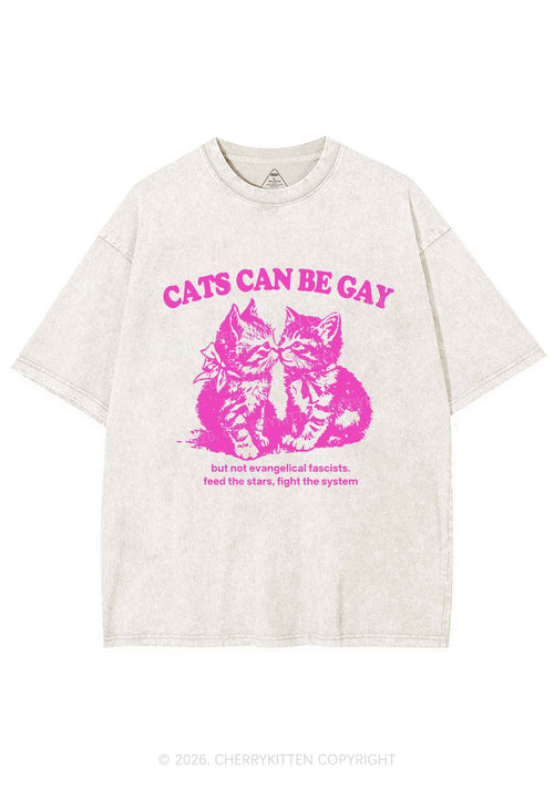 Cat Can Be Gay Pride Y2K Shirts Washed Tee Cherrykitten