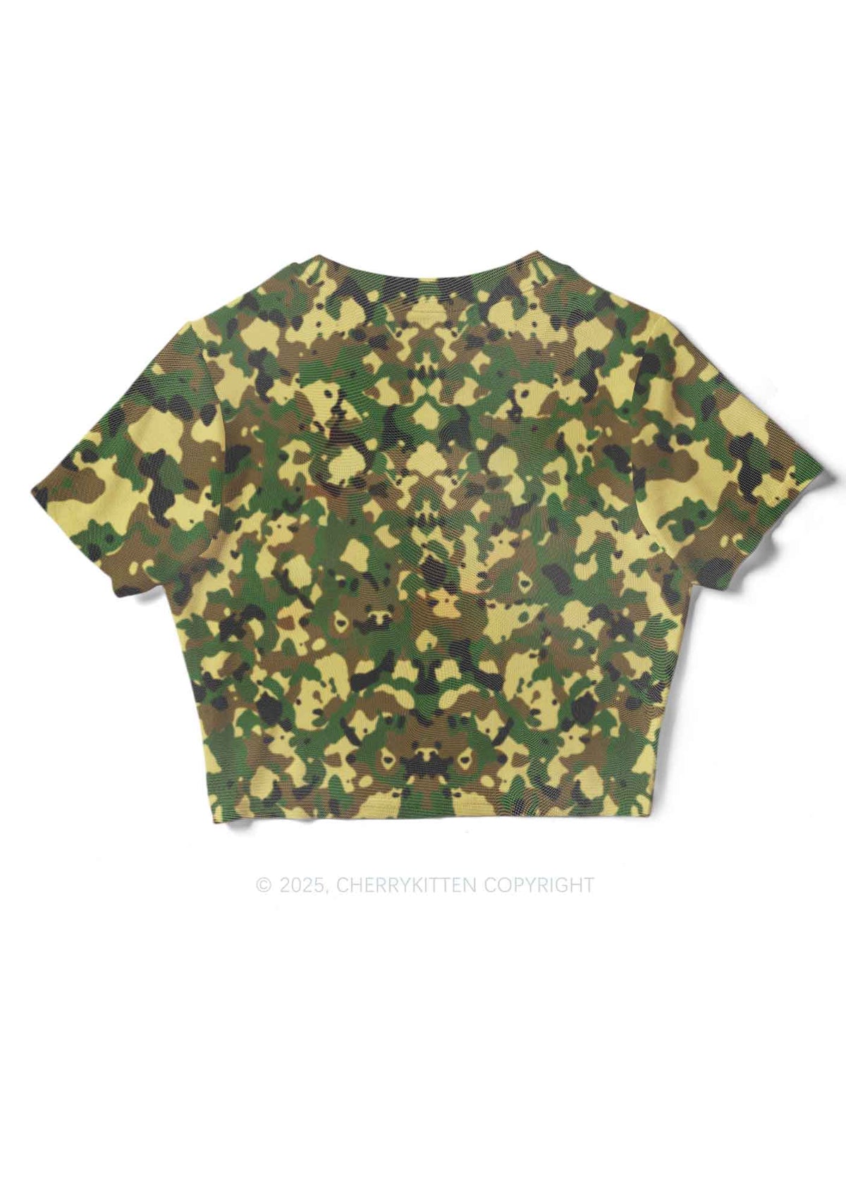 Whos A Good Boy Y2K Mesh Crop Top Cherrykitten