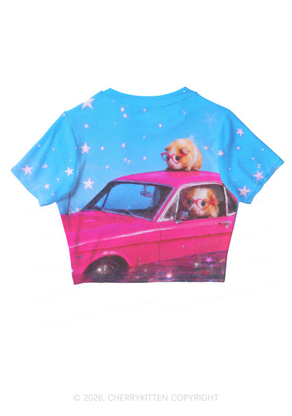 Two Guinea Pigs On Pink Car Y2K Mesh Crop Top Cherrykitten