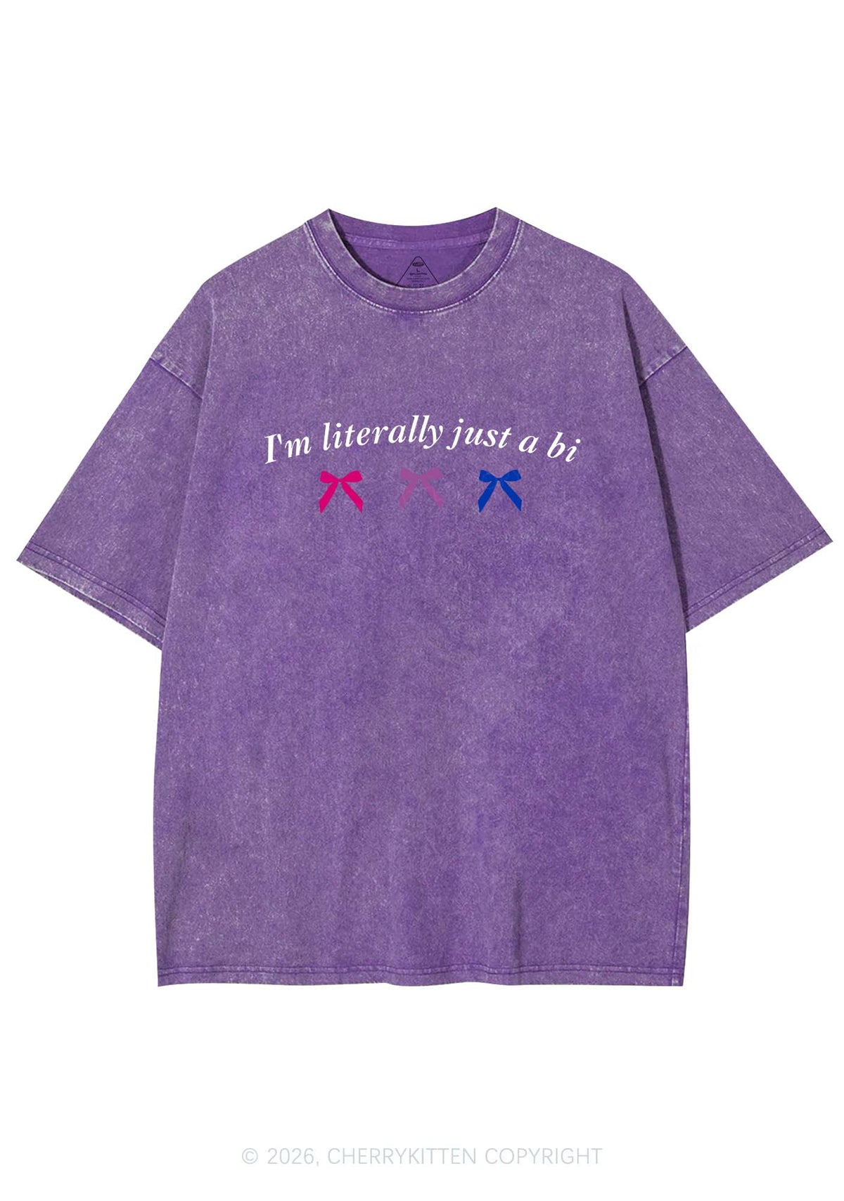 Im Literally Just A Bi Pride Y2K Shirts Washed Tee Cherrykitten