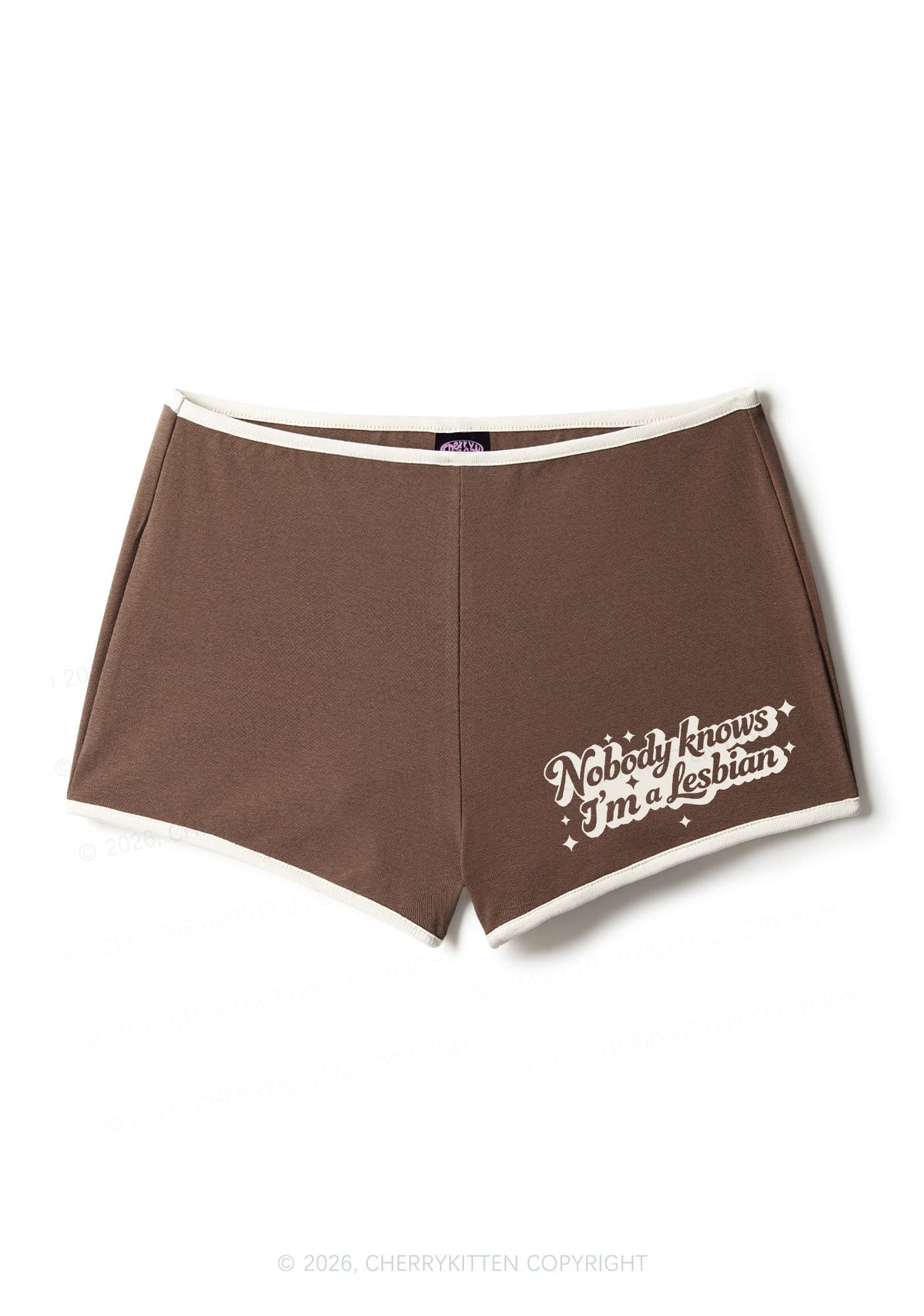 Nobody Knows Im A Lesbian Pride Y2K Booty Shorts Cherrykitten