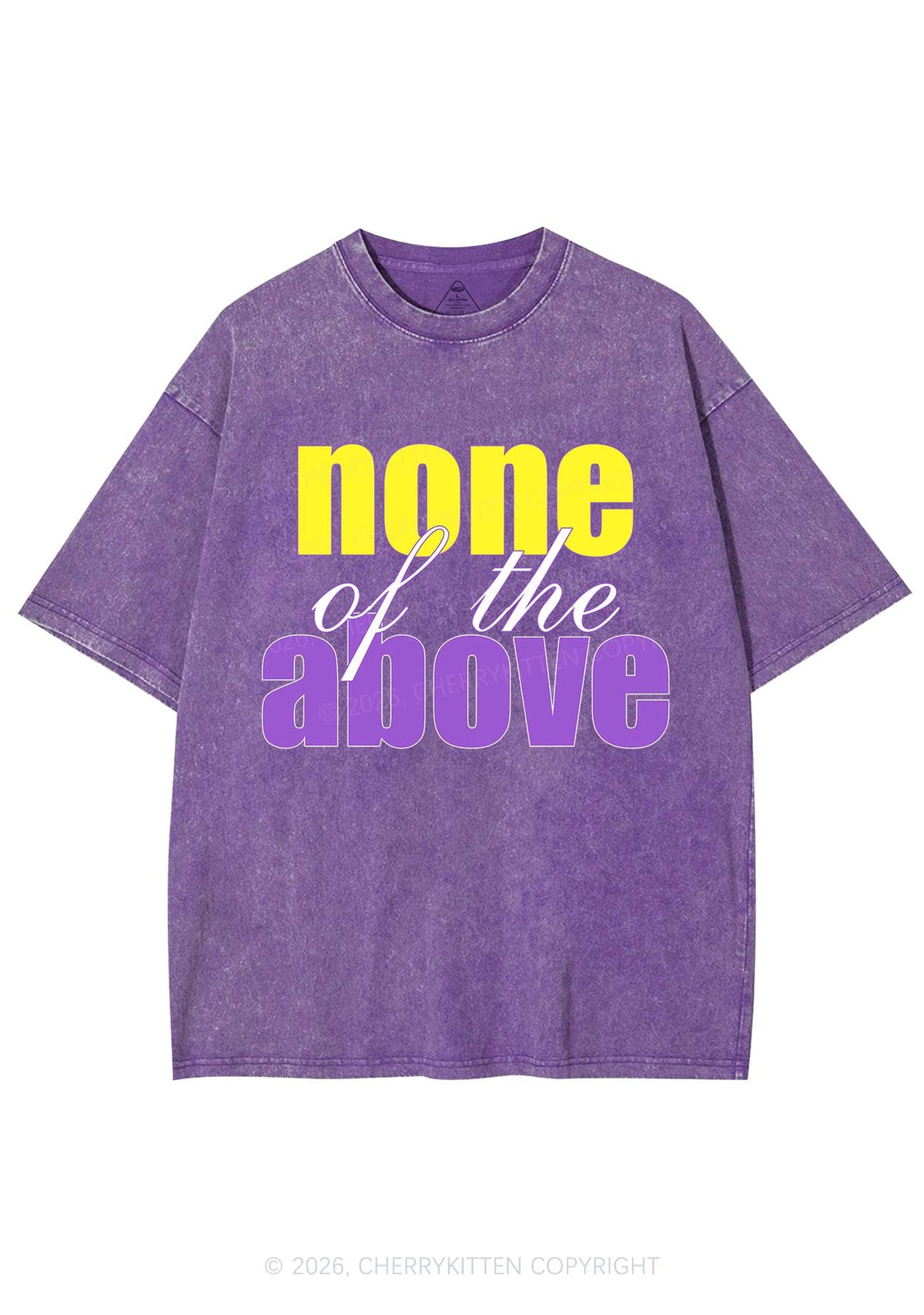 None Of The Above Pride Y2K Shirts Washed Tee Cherrykitten