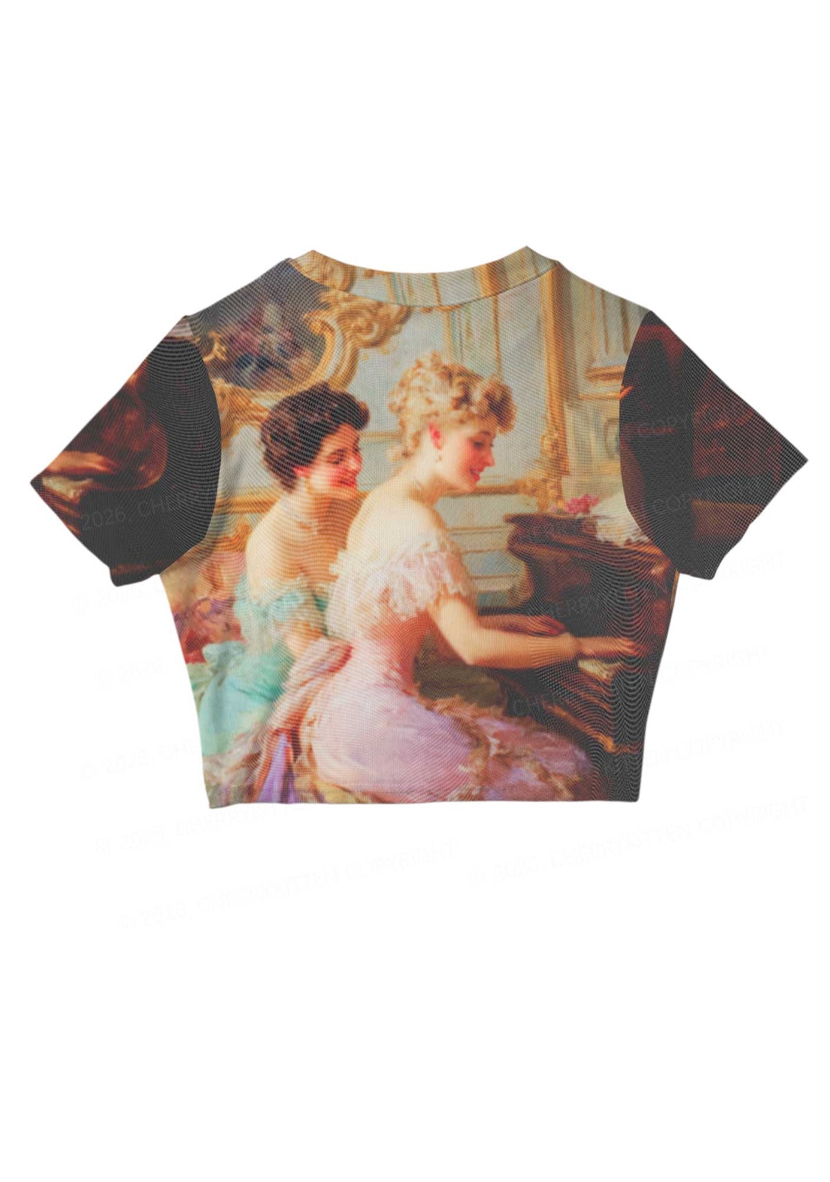 Elegant Piano Room Pride Y2K Mesh Crop Top Cherrykitten