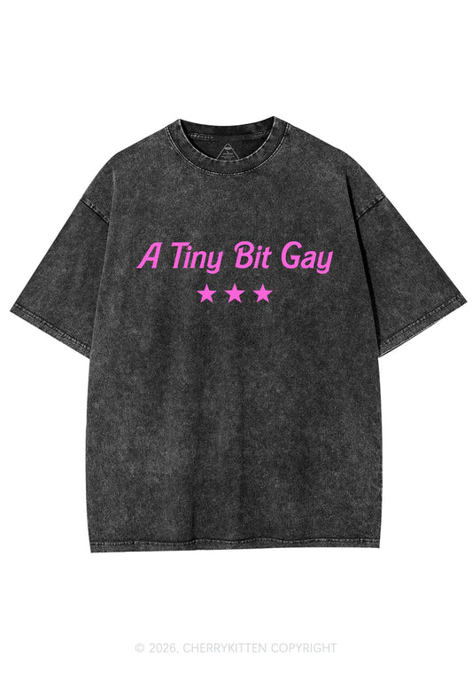 A Tiny Bit Gay Pride Y2K Shirts Washed Tee Cherrykitten