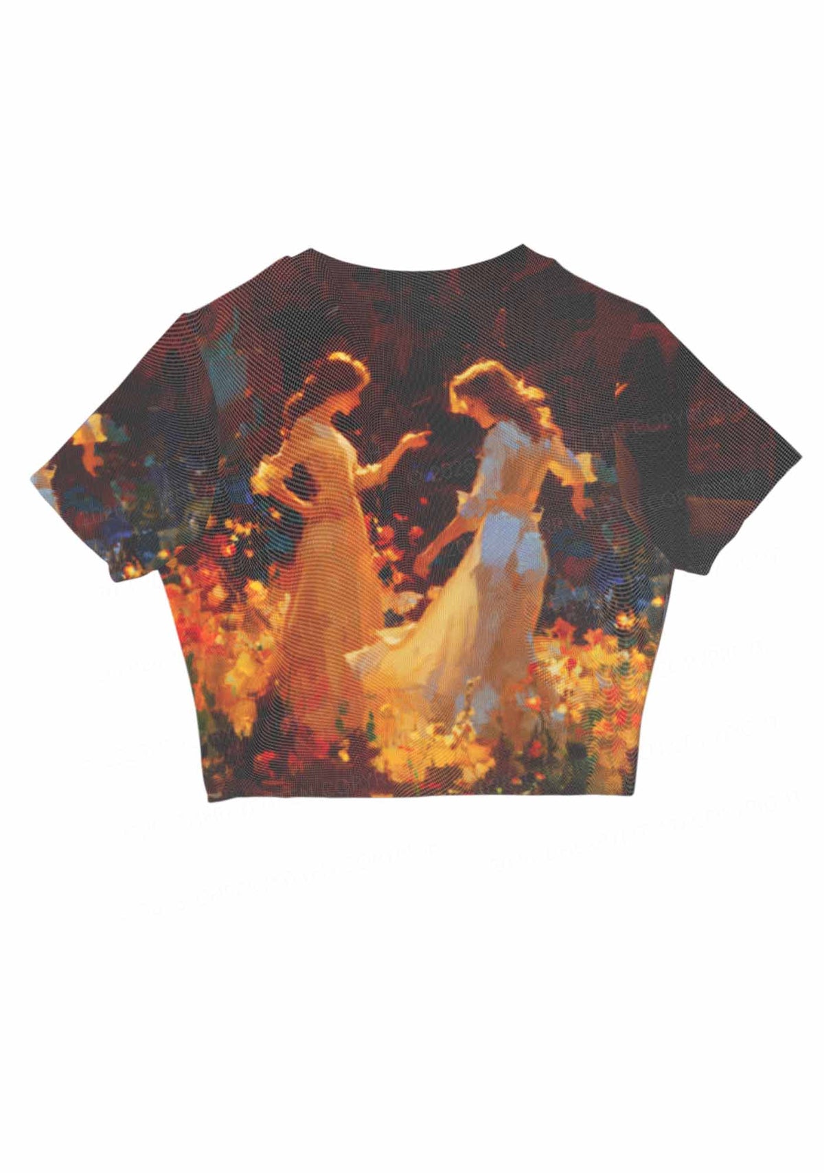 Dancing In Garden Pride Y2K Mesh Crop Top Cherrykitten
