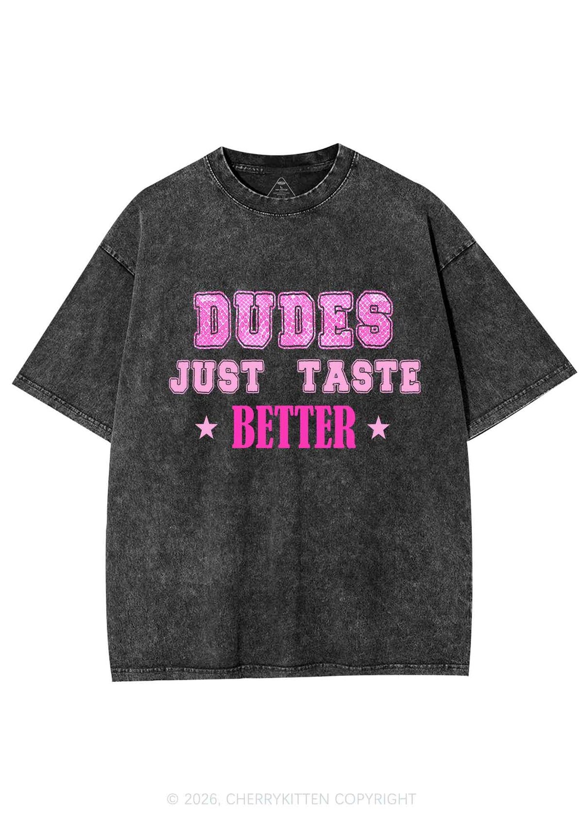 Dudes Just Taste Better Pride Y2K Shirts Washed Tee Cherrykitten