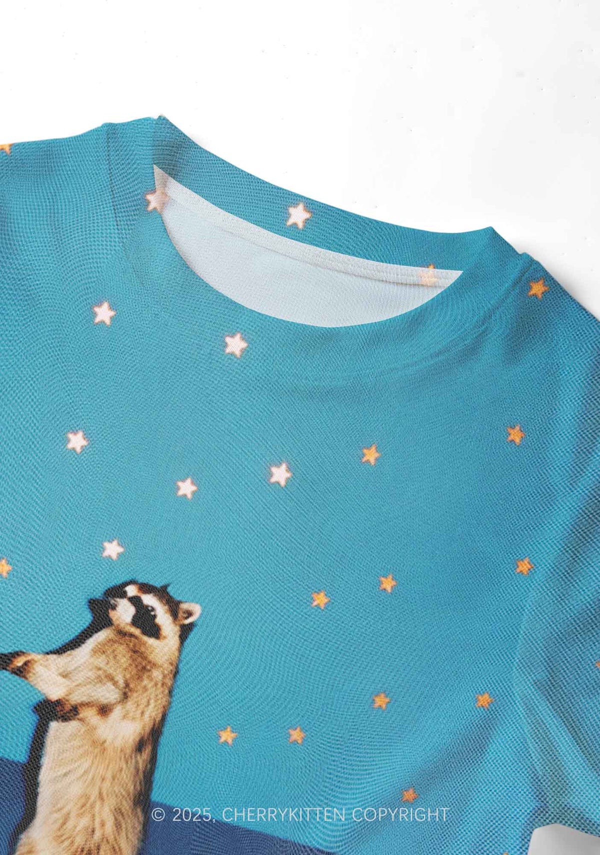 Starry Raccoon Y2K Mesh Crop Top Cherrykitten