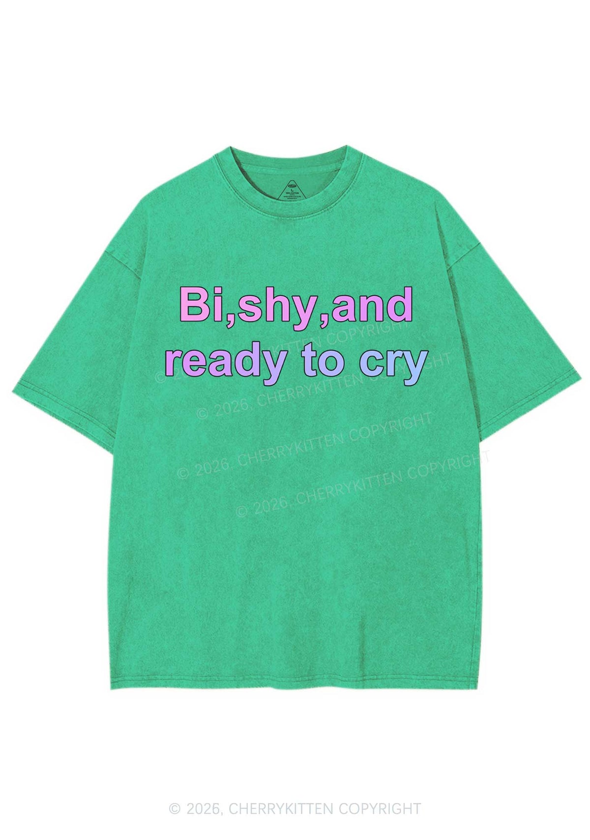 Bi Shy And Ready To Cry Pride Y2K Shirts Washed Tee Cherrykitten
