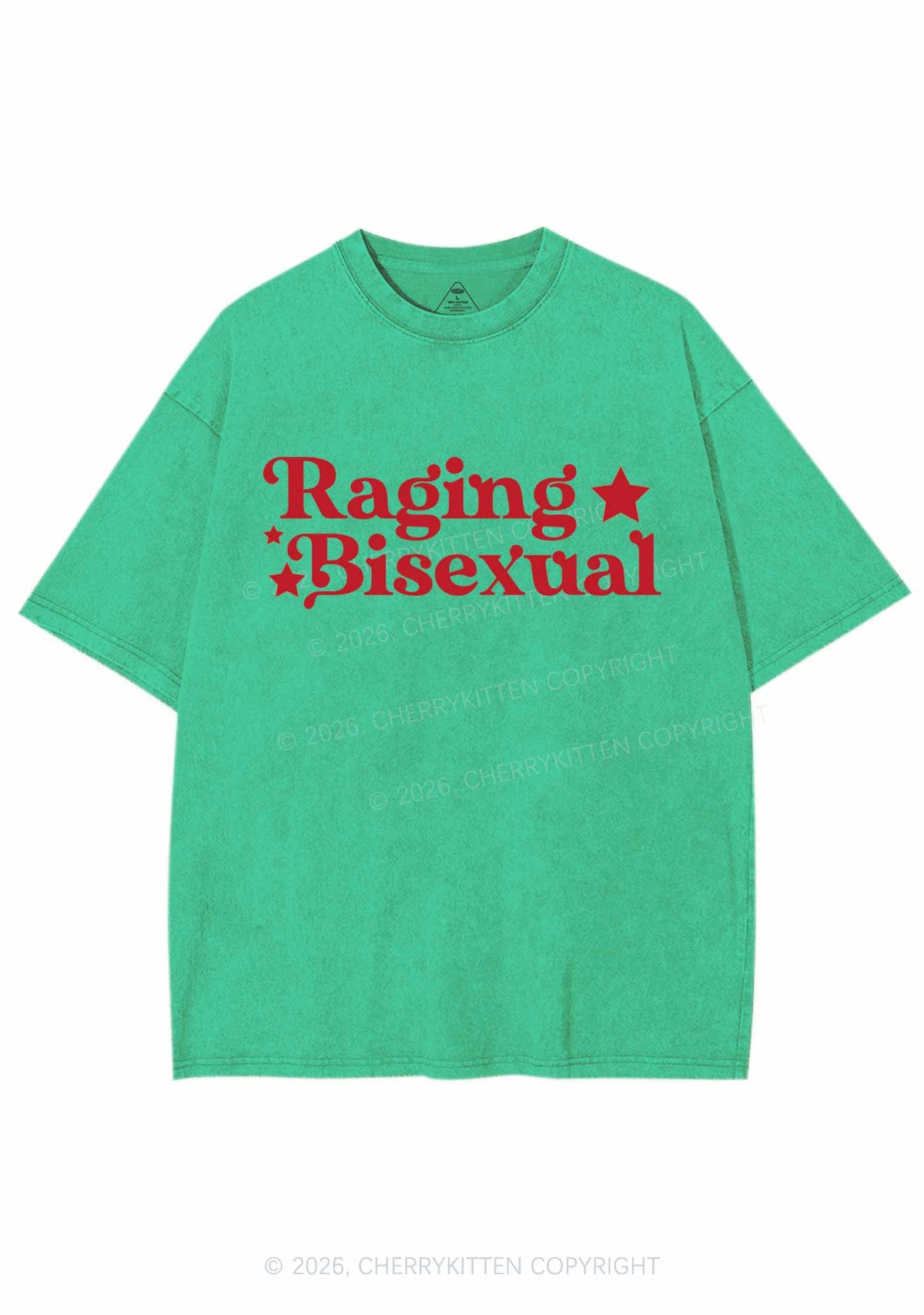 Raging Bisexual Stars Pride Y2K Shirts Washed Tee Cherrykitten