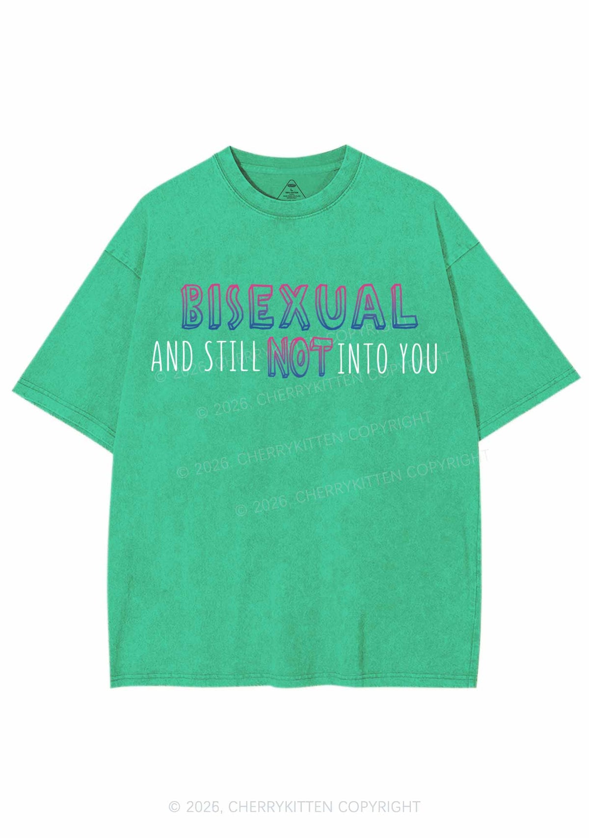 Bisexual And Still Not Into You Pride Y2K Shirts Washed Tee Cherrykitten