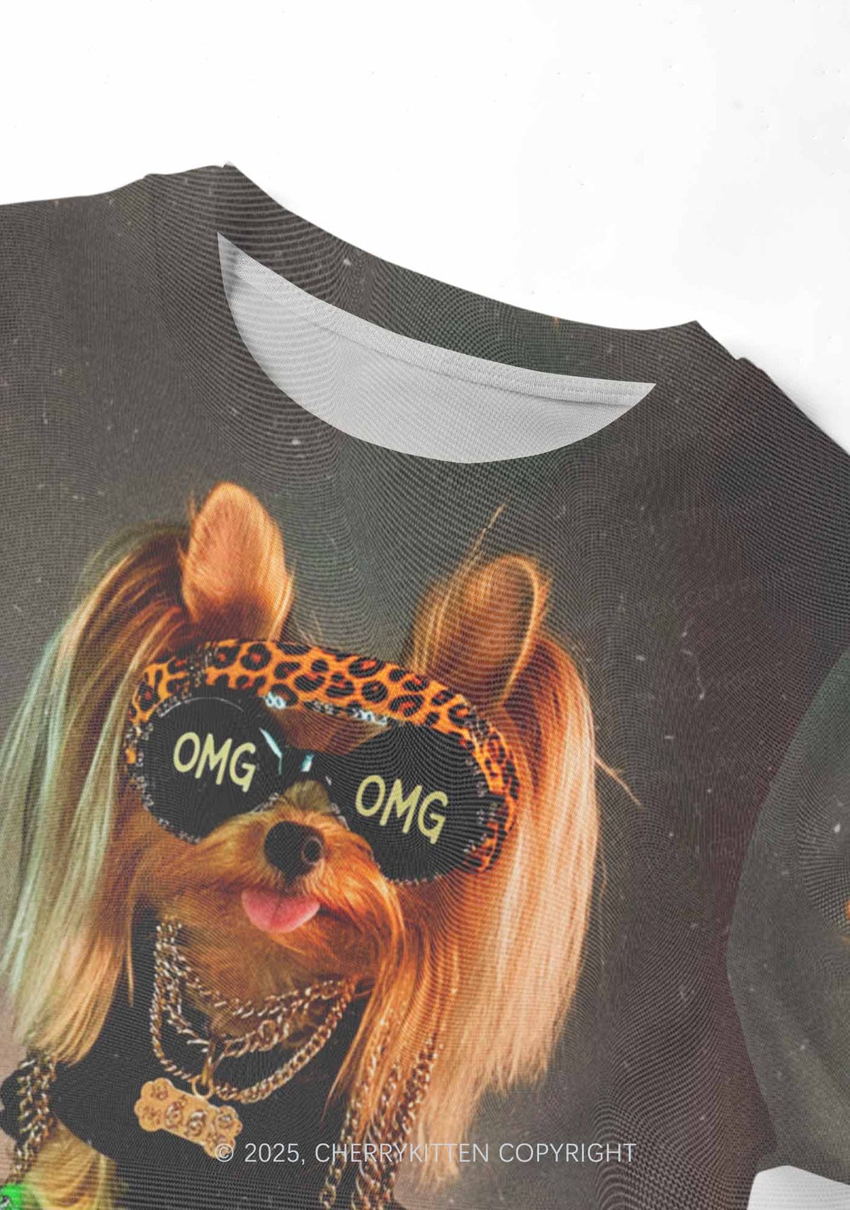 OMG Doggy Y2K Mesh Crop Top Cherrykitten