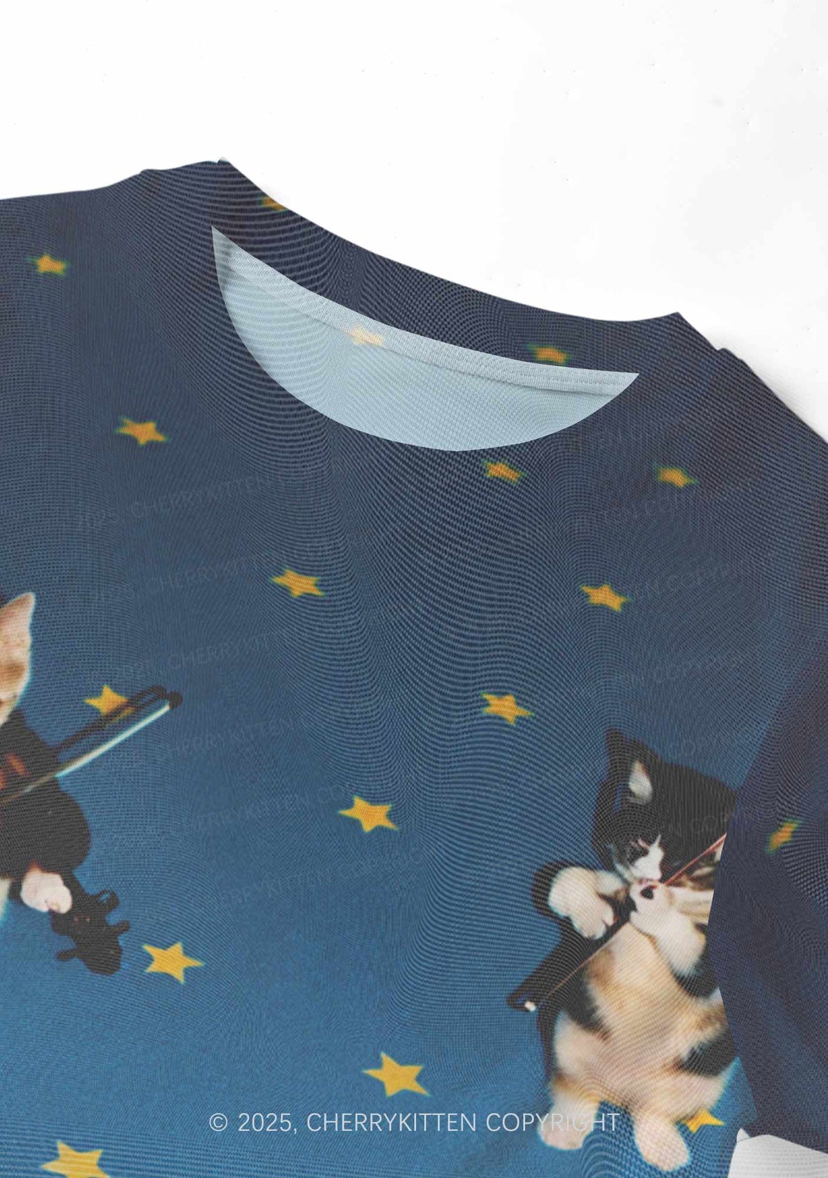 Kitten Violinist Y2K Mesh Crop Top Cherrykitten