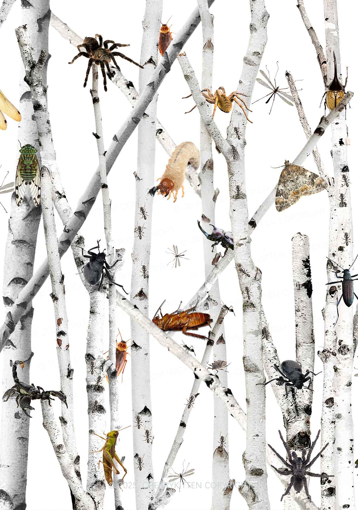 Insects On Birch Y2K Mesh Crop Top Cherrykitten