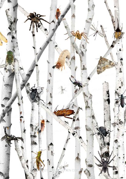 Insects On Birch Y2K Mesh Crop Top Cherrykitten