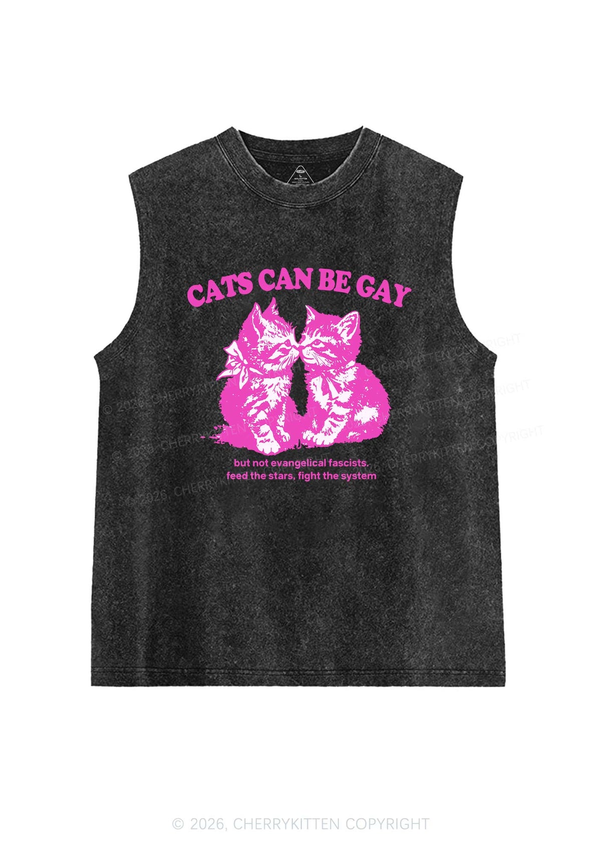 Cat Can Be Gay Pride Y2K Washed Muscle Tank Cherrykitten