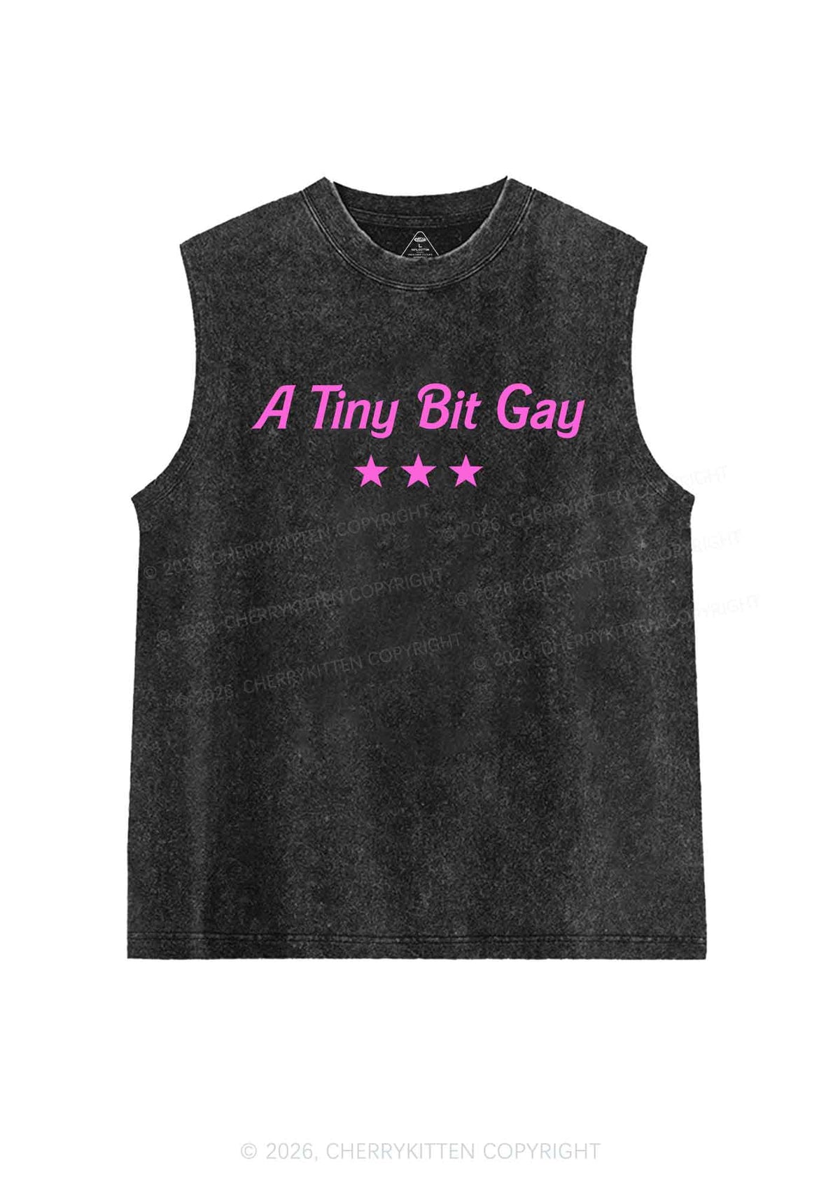 A Tiny Bit Gay Pride Y2K Washed Muscle Tank Cherrykitten