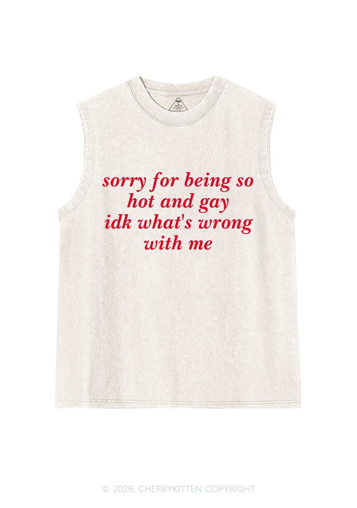 Sorry For Being Gay Pride Y2K Washed Muscle Tank Cherrykitten