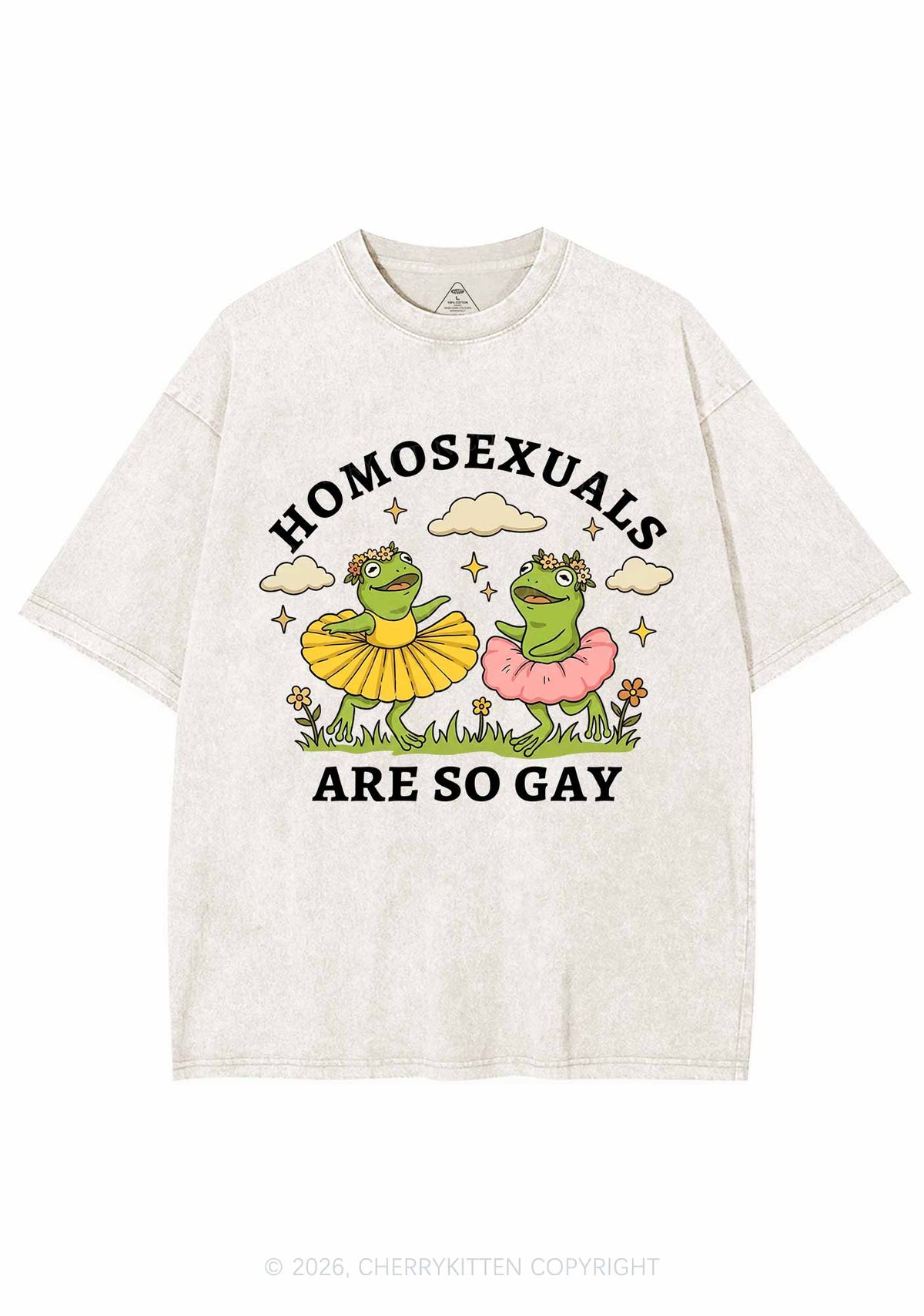 Homosexuals Are So Gay Pride Y2K Shirts Washed Tee Cherrykitten