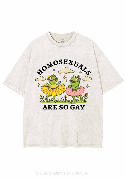 Homosexuals Are So Gay Pride Y2K Shirts Washed Tee Cherrykitten