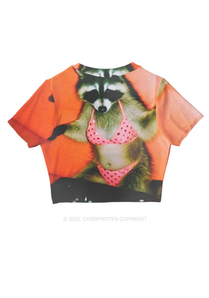 Bikini DJ Raccoon Y2K Mesh Crop Top Cherrykitten