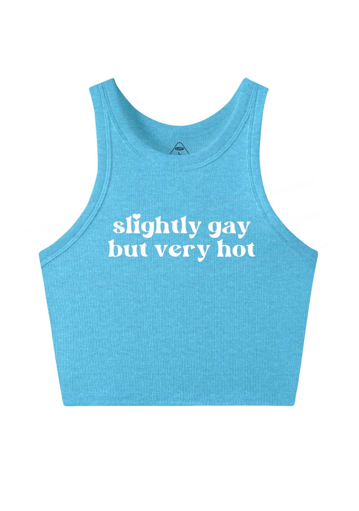 Slightly Gay But Very Hot Pride Y2K Crop Tank Top Cherrykitten